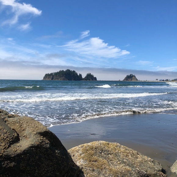 Meet your Posher, Bremmie Vintage - Picture 7 of 8